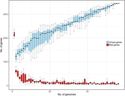 Genomic Comparison of Lactobacillus helveticus Strains Highlights Probiotic Potential